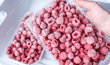 Frozen Berries