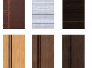 Toilet Doors